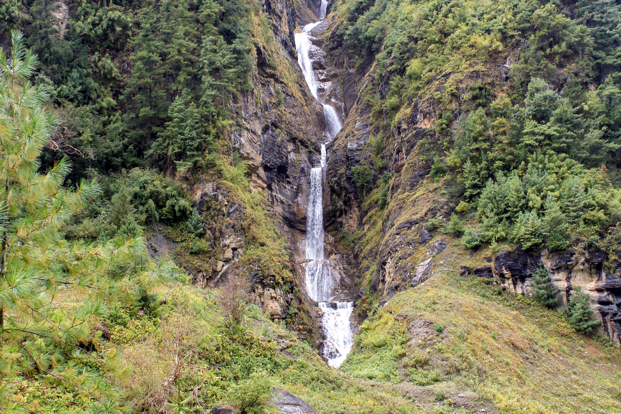 chame (3).webp